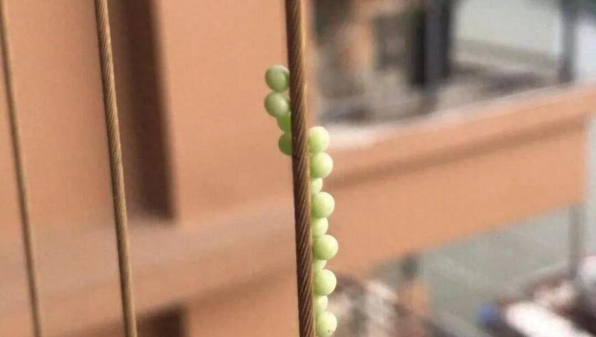 东部战区再发军事行动海报,香港新版跑狗网免费资料,创新典义解读_终极版V10.20